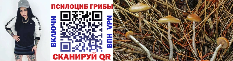 Галлюциногенные грибы Magic Shrooms Купить Новопавловск